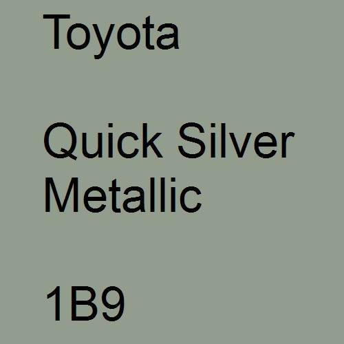 Toyota, Quick Silver Metallic, 1B9.